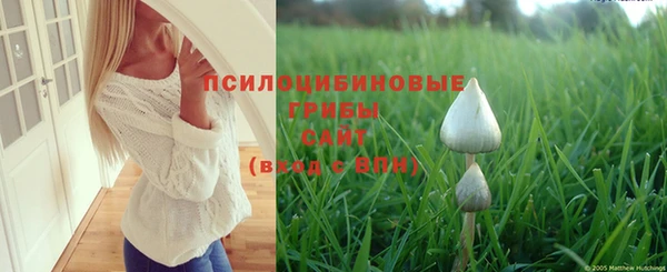 крисы Белоозёрский